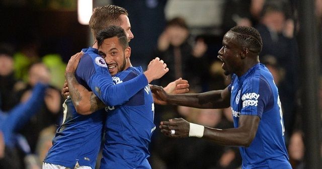 Everton dovodi