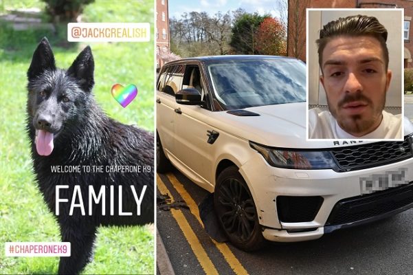 Nakon što je Dele Alli opljačkan: Jack Grealish kupio psa čuvara od 28.000 eura!