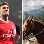 Nicklas-Bendtner-najavio