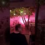 Makljaža u Zagrebu između navijača Dinama i Legije (I)