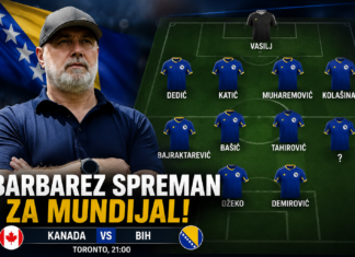 Ovo je očekivani sastav BiH Ovo je očekivani sastav BiH